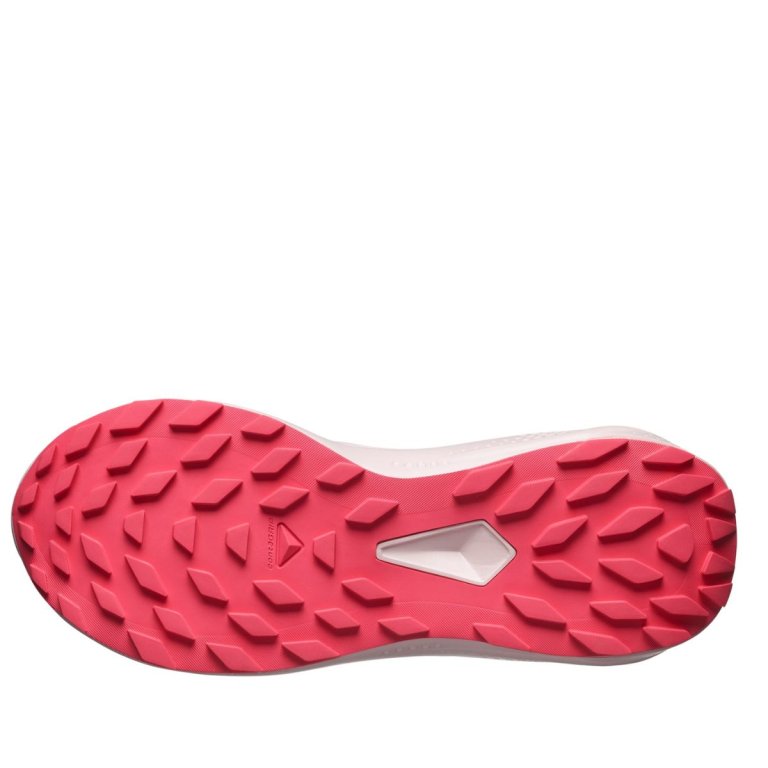 Кросівки Salomon Alphaglide GTX W - синій/червоний