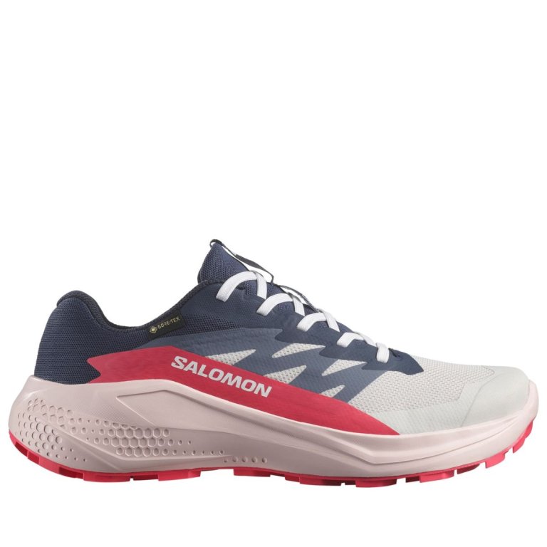 Кросівки Salomon Alphaglide GTX W - синій/червоний