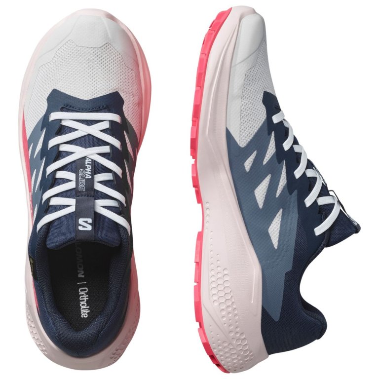 Кросівки Salomon Alphaglide GTX W - синій/червоний