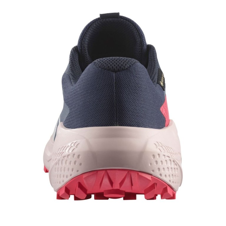 Кросівки Salomon Alphaglide GTX W - синій/червоний