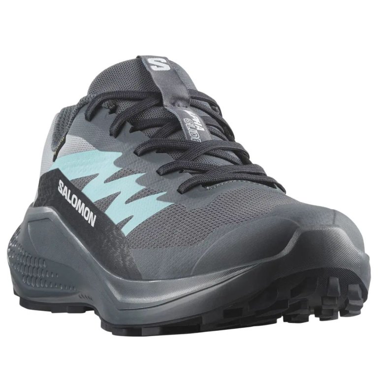 Взуття Salomon Alphaglide GTX W - сірий/синій