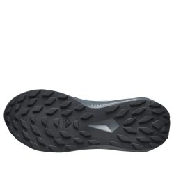 Взуття Salomon Alphaglide GTX W - сірий/синій