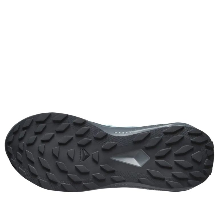 Взуття Salomon Alphaglide GTX W - сірий/синій