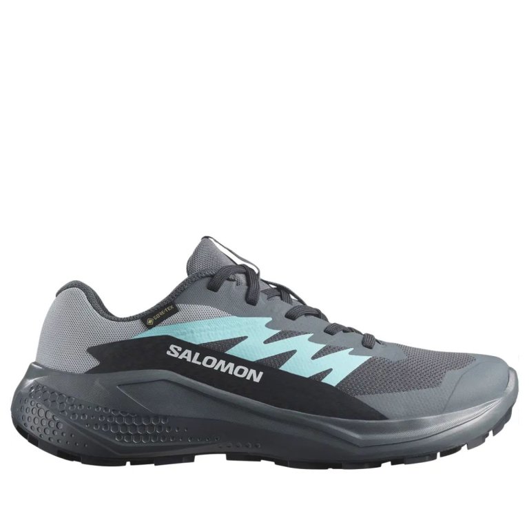 Взуття Salomon Alphaglide GTX W - сірий/синій