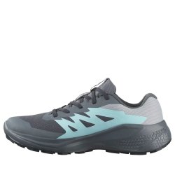 Взуття Salomon Alphaglide GTX W - сірий/синій