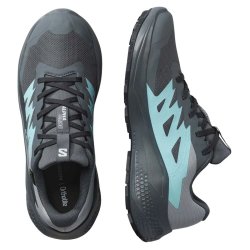 Взуття Salomon Alphaglide GTX W - сірий/синій