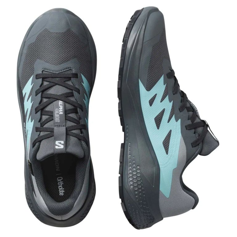 Взуття Salomon Alphaglide GTX W - сірий/синій