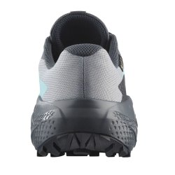 Взуття Salomon Alphaglide GTX W - сірий/синій