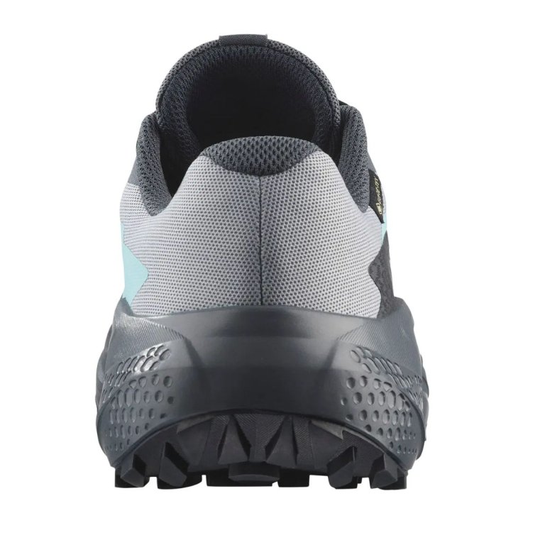 Взуття Salomon Alphaglide GTX W - сірий/синій