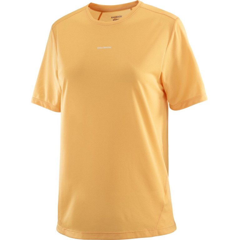 Майка Salomon SHKout Core SS Tee W - помаранчевий