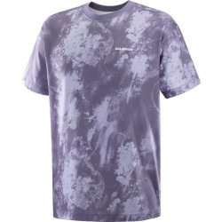 Футболка Salomon Canopy Ao Print Tee M - фіолетовий