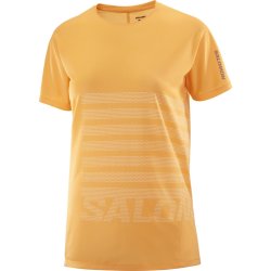 Футболка Salomon Sense Aero SS Tee GFX W - помаранчевий