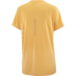 Футболка Salomon Sense Aero SS Tee GFX W - помаранчевий