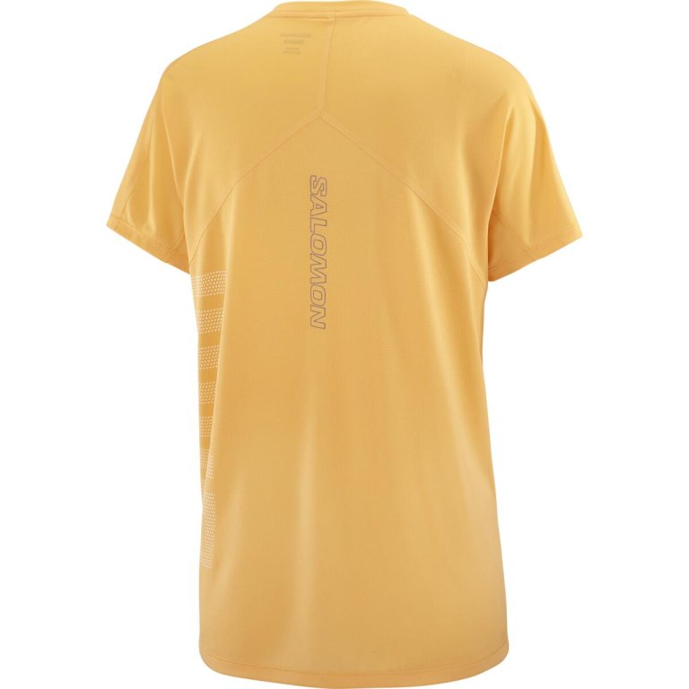 Футболка Salomon Sense Aero SS Tee GFX W - помаранчевий