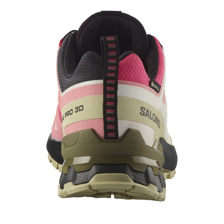 Кросівки Salomon Xa Pro 3D V9 GTX W - червоно/бежеві