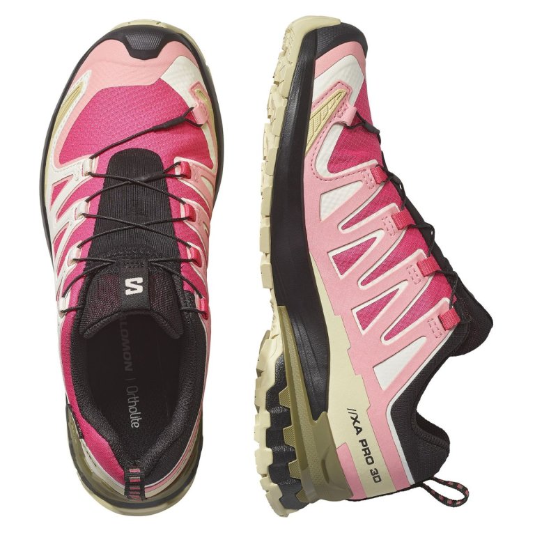 Кросівки Salomon Xa Pro 3D V9 GTX W - червоно/бежеві