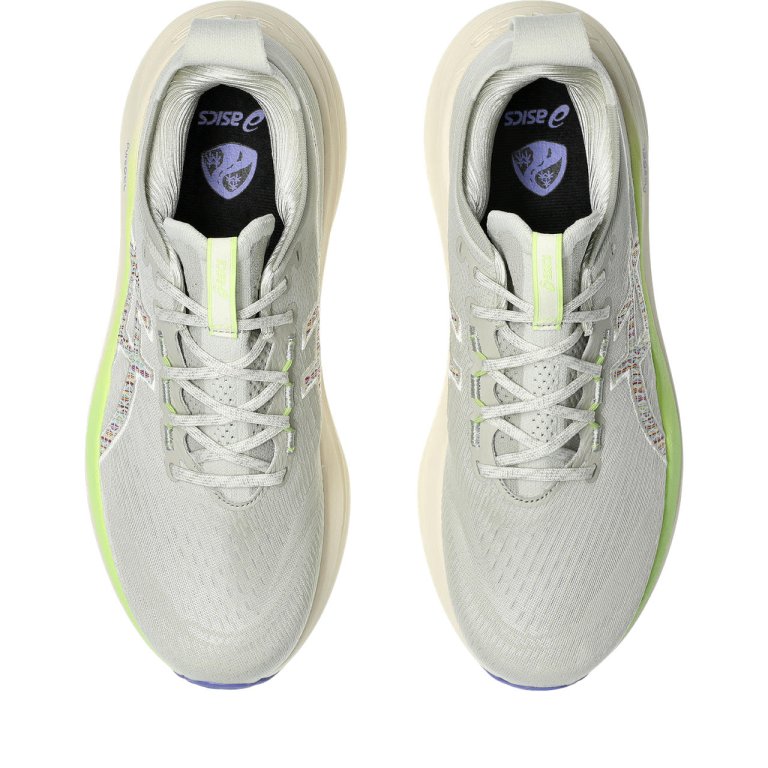 Кросівки Asics Gel-Nimbus 27 TR M - сірі