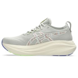 Кросівки Asics Gel-Nimbus 27 TR M - сірі