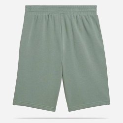 Шорти Puma ESS 2 Color No. 1 10 M - зелені
