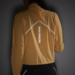 Кофта Salomon Sense Aero Hybrid CP Plvr W - помаранчева