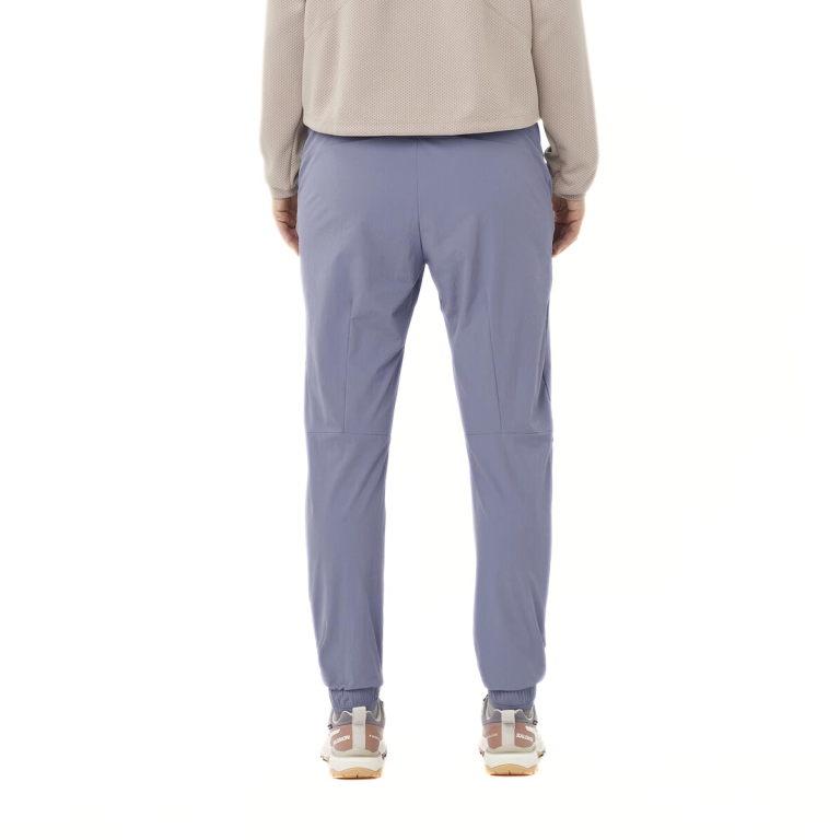 Штани Salomon Wayfarer Ease Pants W - сині