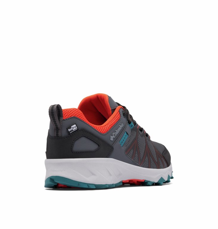 Взуття Columbia Peakfreak™ II Outdry™ M - сіро/синьо/помаранчеве