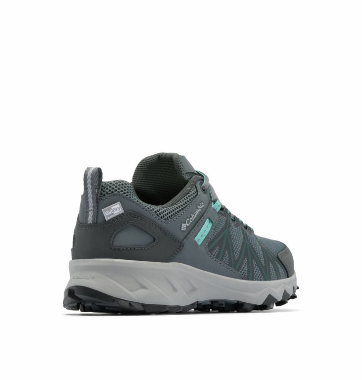 Взуття Columbia Peakfreak™ II Outdry™ W - сіро/сині