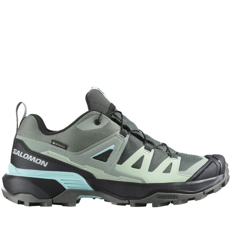 Взуття Salomon X Ultra 360 GTX W - зелений