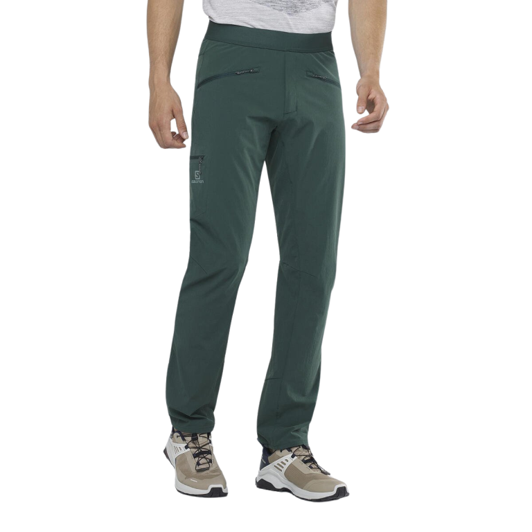 Чоловічі штани Salomon WAYFARER ALPINE PANT M - зелений