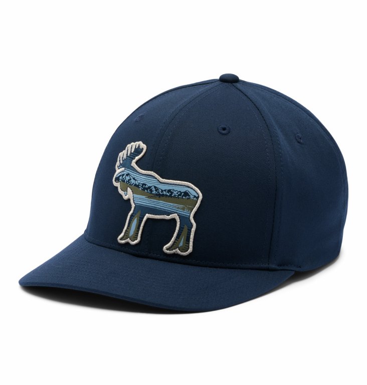 Кепка Columbia Lost Lager™ 110 Snap Back U Cap - темно-синя