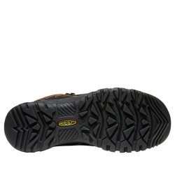Взуття Keen Targhee IV Mid WP M - коричневе