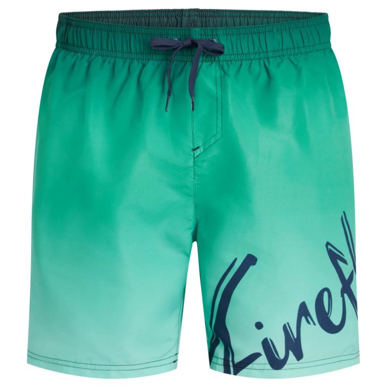 Plavky Firefly Lario Typo Shaded M - zelená