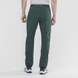 Чоловічі штани Salomon WAYFARER ALPINE PANT M - зелений