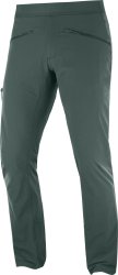 Чоловічі штани Salomon WAYFARER ALPINE PANT M - зелений