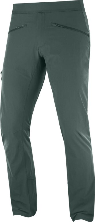 Чоловічі штани Salomon WAYFARER ALPINE PANT M - зелений