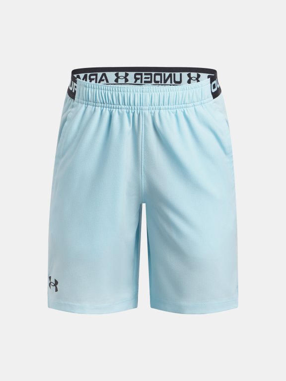 Шорти Under Armour Vanish Shorts Jr Blue