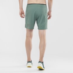Чоловічі шорти Salomon SENSE SHORT M - салатовий/чорний