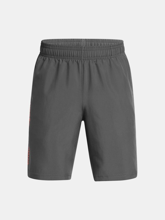Шорти Under Armour Tech Woven Wordmark Short Jr Grey
