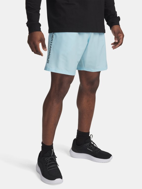 Шорти Under Armour Tech Woven Wordmark Short Man Blue