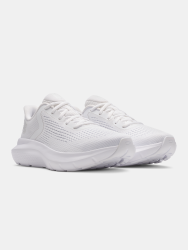 Кросівки Under Armour Charged Rogue 5 Wmn White