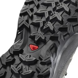 Взуття Salomon X ULTRA TREK GTX W - світло-сірий/чорний