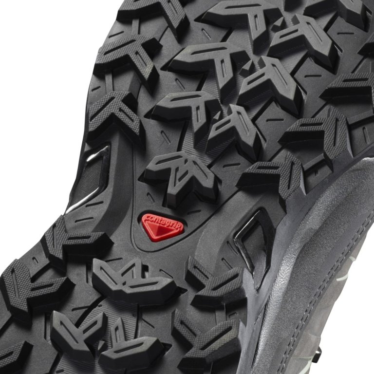 Взуття Salomon X ULTRA TREK GTX W - світло-сірий/чорний