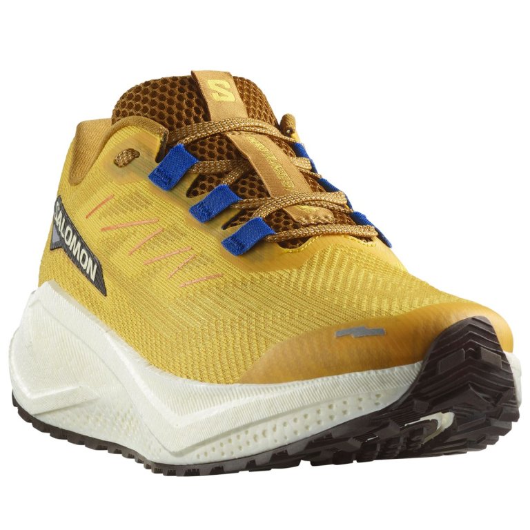 Кросівки Salomon Aero Blaze 3 Grvl M - жовті