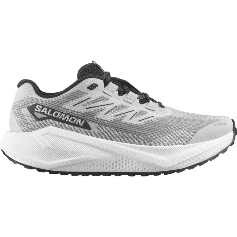 Кросівки Salomon Aero Blaze 3 Grvl M - сірі
