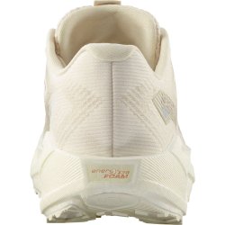 Кросівки Salomon Aero Blaze 3 Grvl W - бежеві