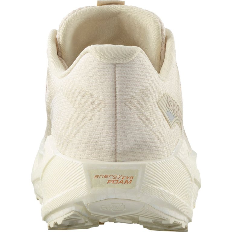 Кросівки Salomon Aero Blaze 3 Grvl W - бежеві