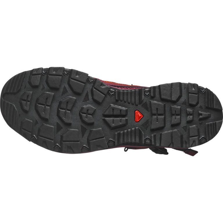 Сандалі Salomon Techamphibian 5 W - фіолетові
