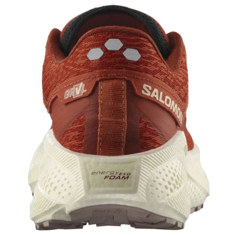 Кросівки Salomon Aero Glide 3 Grvl W - червоні