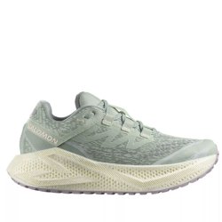 Кросівки Salomon Aero Glide 3 Grvl W - сині