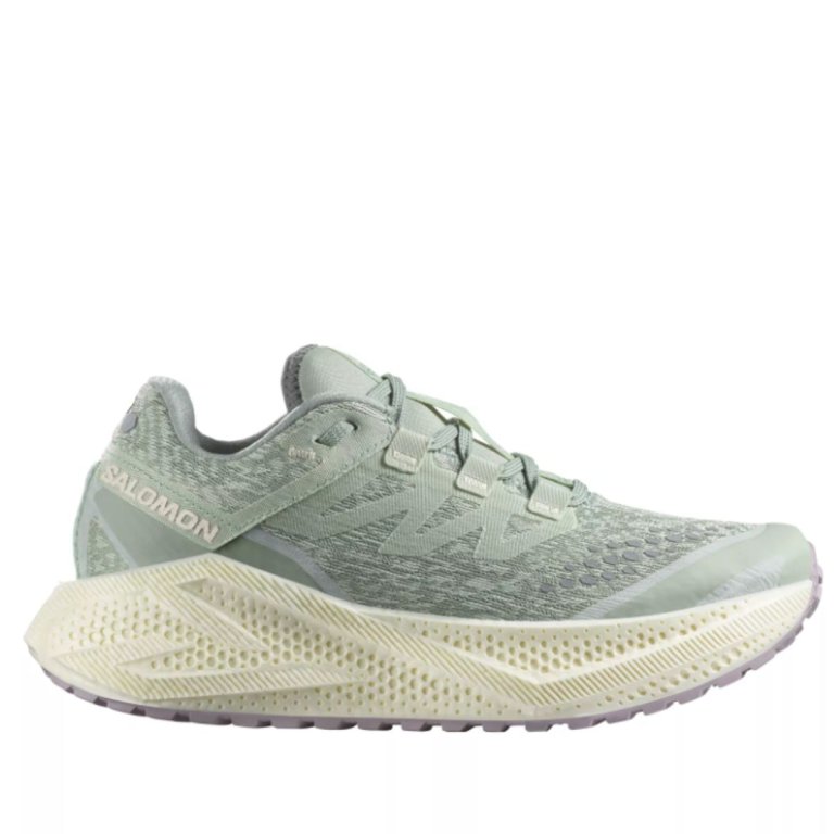 Кросівки Salomon Aero Glide 3 Grvl W - сині